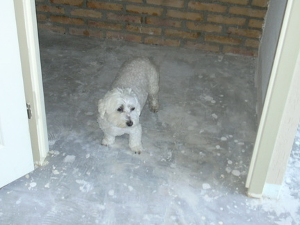 DSCN0015
