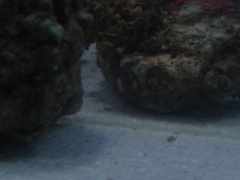 2004 1208images0081
