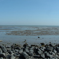 2005 0415images0051