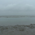 2005 0415images0086