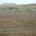 2005 0415images0091