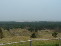2005 0415images0098