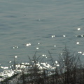2005 0415images0107