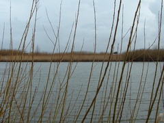 2005 0302images0094
