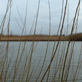 2005 0302images0094