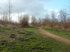 2005 0302images0097
