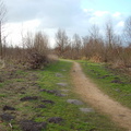2005 0302images0098