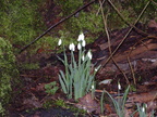 2005 0302images0101