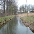 2005 0302images0107