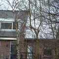 2005 0302images0109