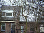 2005 0302images0109