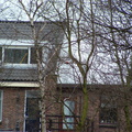2005 0302images0110