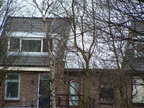 2005 0302images0110