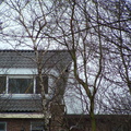2005 0302images0111