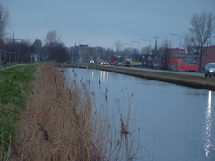 2005 0302images0119