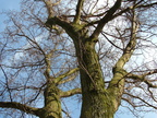 2005 0318images0012
