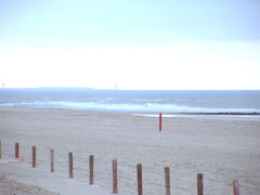 2005 0302images0127