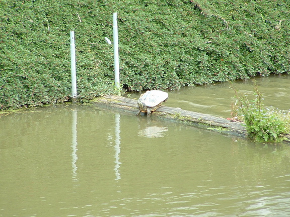 2005 0616images0115