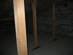 IMG 1442