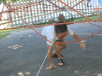 IMG 0793