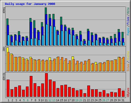 Daily usage for January 2008