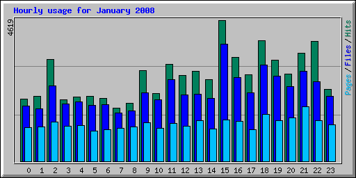 Hourly usage for January 2008